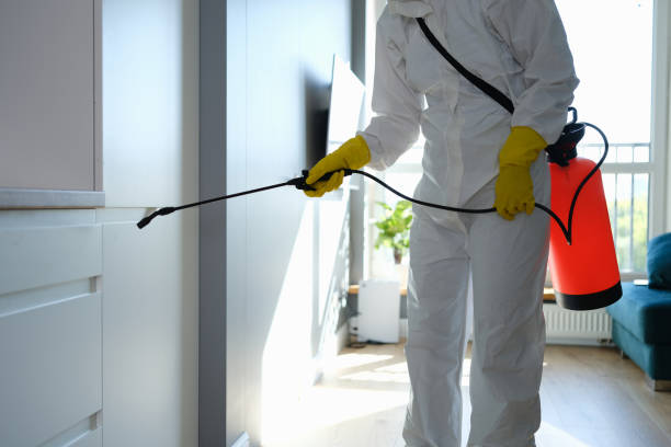 Best Residential Mold Remediation in Belleville, WI