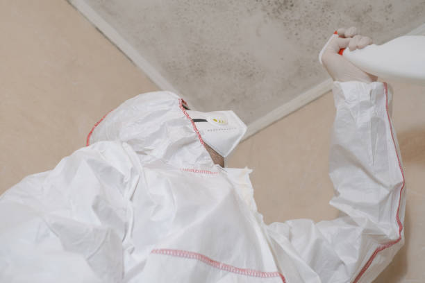 Best Mold Testing and Inspection Services in Belleville, WI