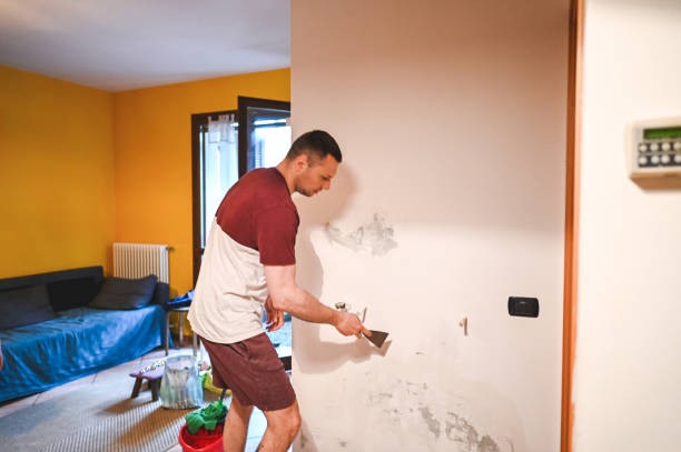 Best Industrial Mold Remediation in Belleville, WI